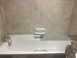 Tanglin View (D3), Condominium #140395932